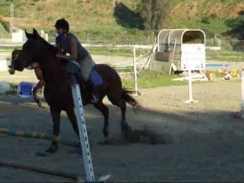 horseback riding jumping. Bad Jumping Horse amp;amp;