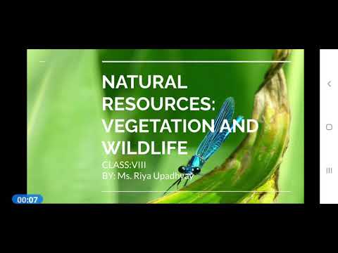 Natural resources: Natural Vegetation and wildlife Class 8 Part 3