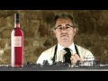 Catas Segura Viudas: Clos Juvència