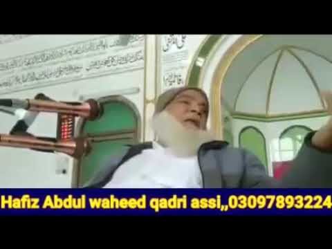 Peer Afzal Qadri Brelvi Tehreek Labaik Pakistan K Ameer Ko Nashai Matric Fail Keh Dia Molvi Exposed