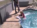 andre throwing me into tha pool[: somewhat....lol