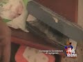 PROSTITUZIONE AD AGRIGENTO TVA NOTIZIE 5 SETTEMBRE