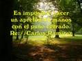 Video de Relajacion y Para Meditar Relax