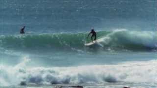 THE ENDLESS SUMMER | Digitally Re-Mastered TRAILER - YouTube