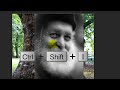 Photoshop: How to Camouflage a Face onto Gnarly, TREE Bark