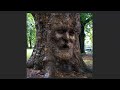 Photoshop: How to Camouflage a Face onto Gnarly, TREE Bark