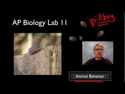 ap biology lab manual lab 111