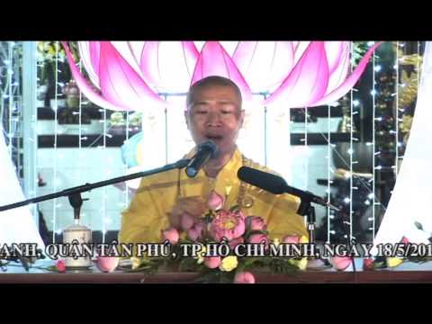 Bảy Đóa Sen Vàng