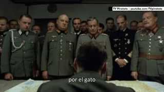 Hitler se entera que el gato Morris es candidato