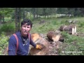 Healing the Land - Sustainable Homestead Firewood