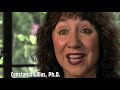 Trauma, Brain & Relationship: Helping Children Heal