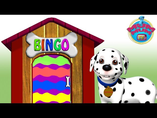 Bingo Dog Song