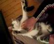 I so love being scratched! I so love being scratched!