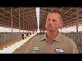 How Cows are Milked at McCarty Family Farms