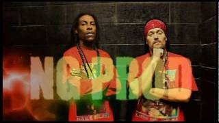 Positiv Young Lion - Les fachos sont dead Positiv Young Lion - Les fachos sont dead