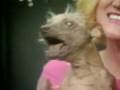 The World's Ugliest Dog The World's Ugliest Dog