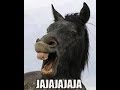 ARNULFO RIVERA - EL COMEBURRA saco de cachos