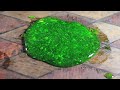Make the Perfect Slime
