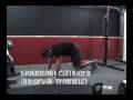 Body Weight Training for Strength and Power