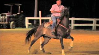 Bethel Road Saddle Club Fifty and Over Poles Bobo 130726 