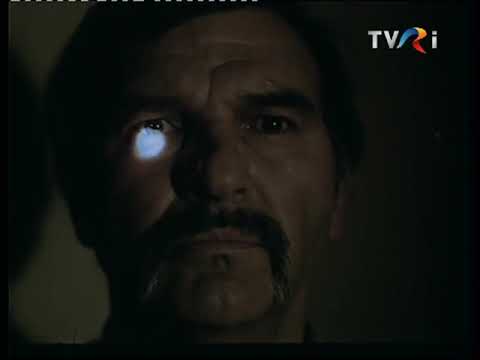 Fapt divers (1984)