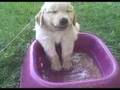 A cooler place to fall asleep... A cooler place to fall asleep...
