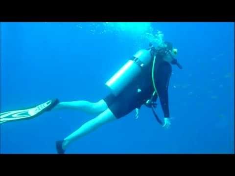 duiken en snorkelen