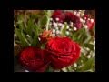 Alejandro Fernandez -