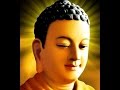 Xá Lợi Tóc của đức Phật - tự chuyển động - Buddha's Hair Relic