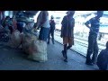 INDIAN RAILWAY STATION VIDEO