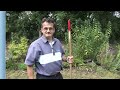How To Reseed A Lawn