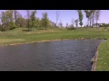 Fishing For Spawning Bass With The Zoom Super Fluke