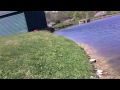 Fishing For Spawning Bass With The Zoom Super Fluke