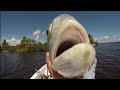 Saltwater - Stuart Live Bait Fishing for Snook Big Jack and Big Seatrout- HD # 33 - Daniel Pierlet