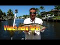 Saltwater - Stuart Live Bait Fishing for Snook Big Jack and Big Seatrout- HD # 33 - Daniel Pierlet