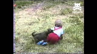 Os cães e as crianças