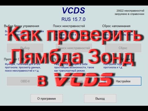 Как сделать проверку датчика кислорода в VCDS Вася Диагност