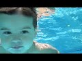 Unbelievable diving swimming baby!!! 2 year old Brahman, Swim & Dive