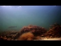 UK Sea Trout Secrets 1 Spin Fishing