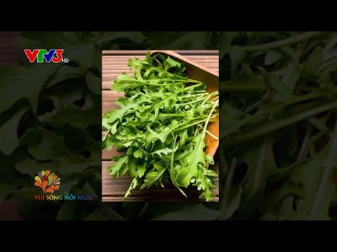Biến tấu hai món salad từ rau rocket Đà Lạt
