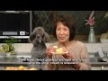 Choux Creme (Cream Puffs) シュークリーム