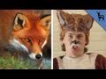 What The Fox ACTUALLY Says!