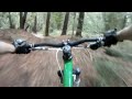 Braille trail - Soquel Demonstration Forest