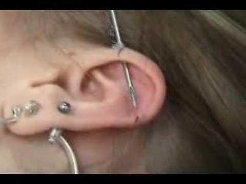industrial piercing information. Industrial Ear Body Piercing
