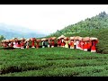 Gilaki bahal گیلکی باحال