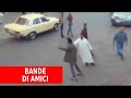 Le telecamere nascoste che catturano le cose belle della vita