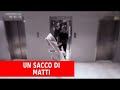 Le telecamere nascoste che catturano le cose belle della vita