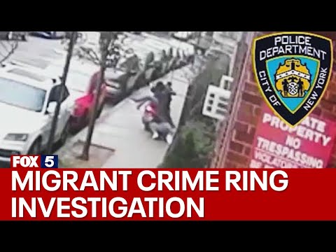 NYPD investigating suspected migrant crime ring