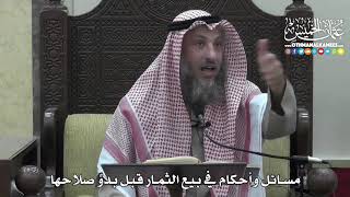 1305 - مسائل وأحكام في بيع الثمار قبل بدوِّ صلاحها - عثمان الخميس