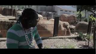 Elephant Man - Harlem Shake Elephant Man - Harlem Shake